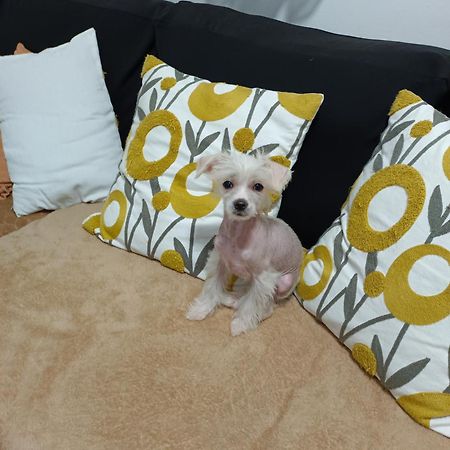 Casa De Ciss Apartment Madrid Ngoại thất bức ảnh