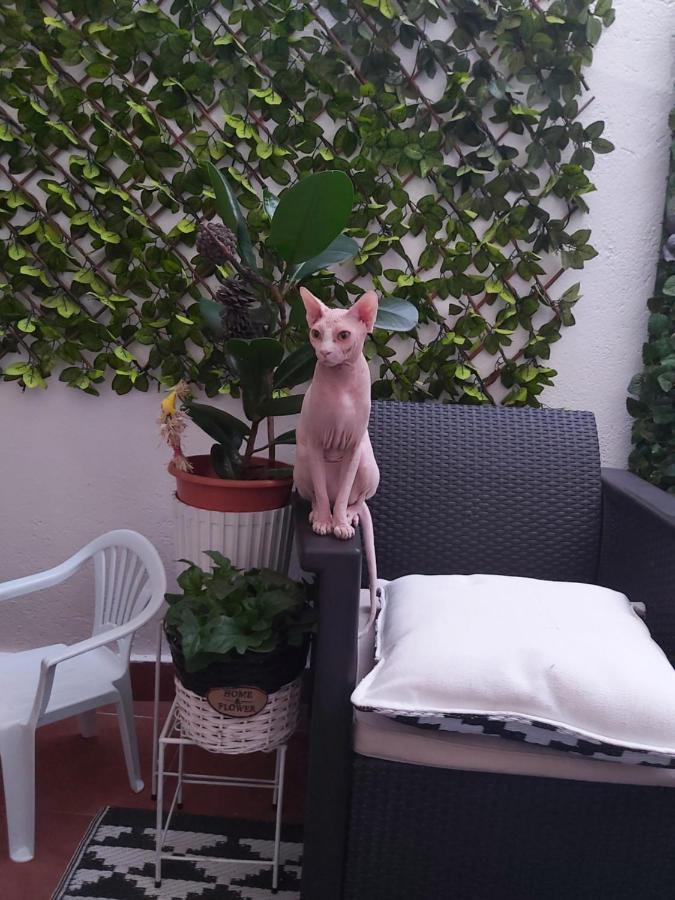 Casa De Ciss Apartment Madrid Ngoại thất bức ảnh