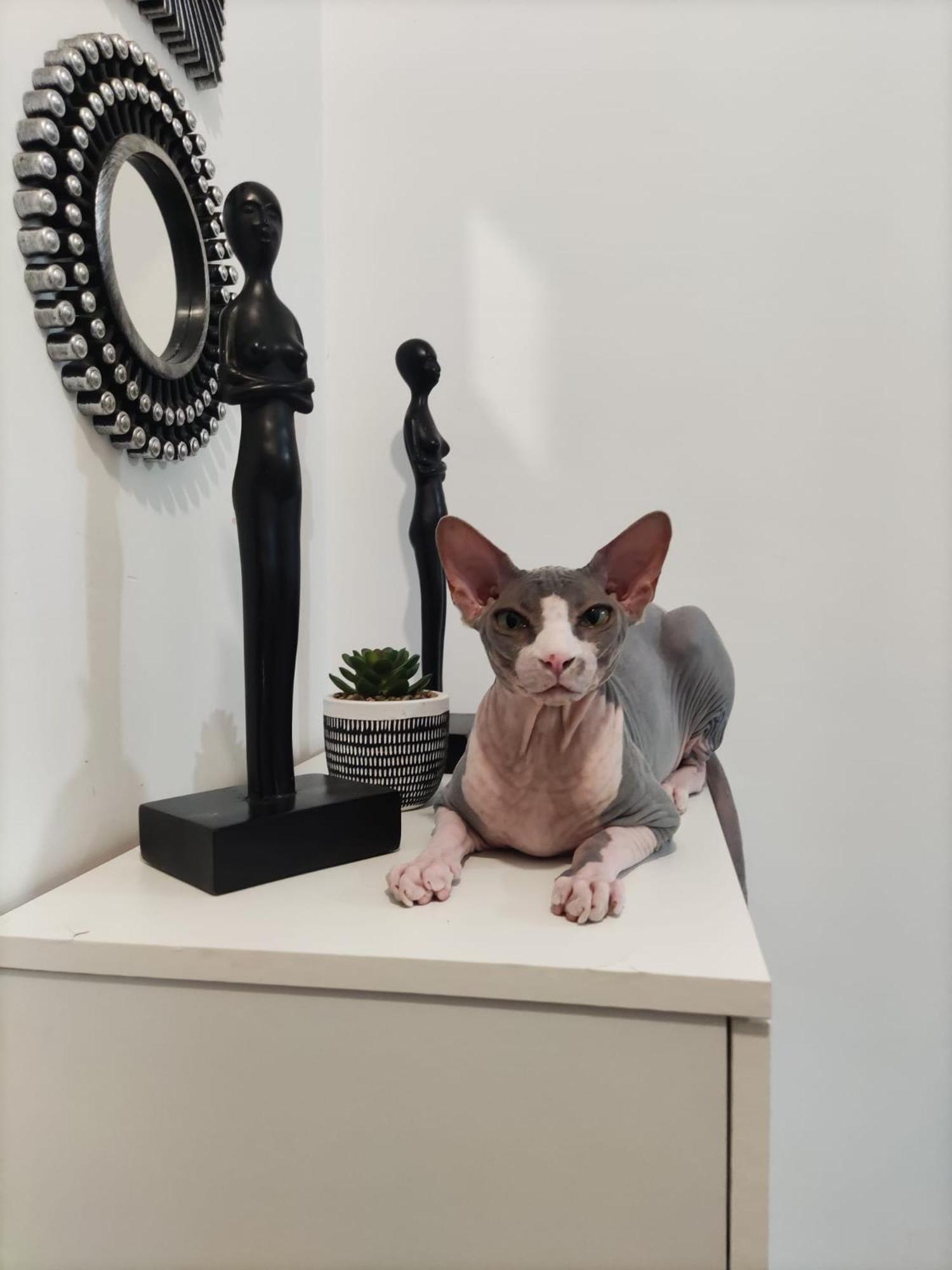 Casa De Ciss Apartment Madrid Ngoại thất bức ảnh