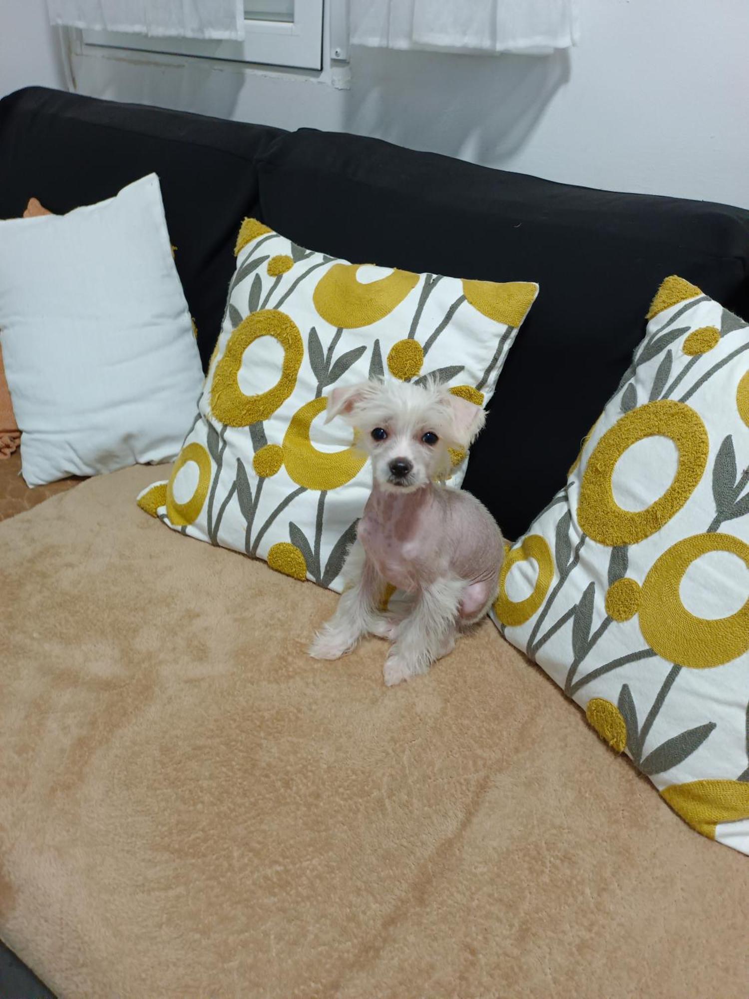 Casa De Ciss Apartment Madrid Ngoại thất bức ảnh